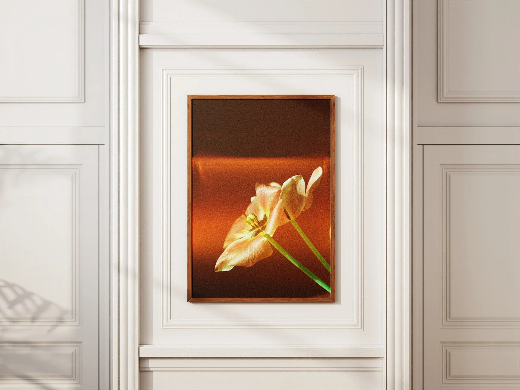 専用ページ　TULIP様 Tulip Bulbs | Brisbane | Tulip Bulbs for Sale | DutchGrown™